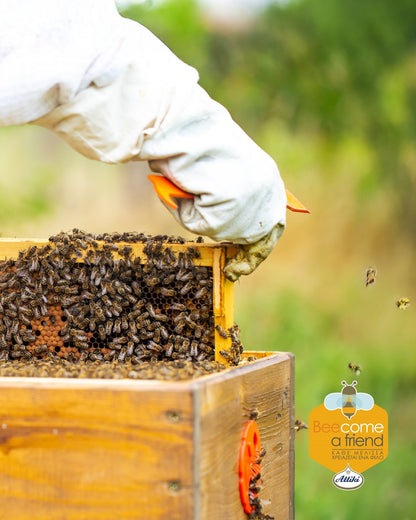 Attiki Dark Brown Forest Honey 330gr