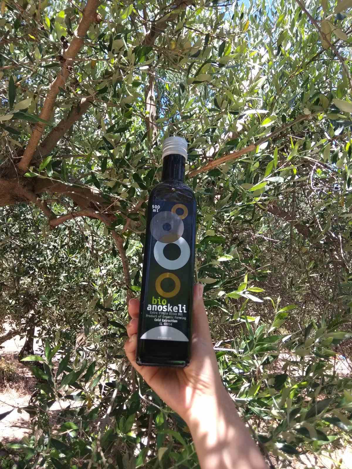 Olivenolie, 750 mL, Økologisk, Extra Jomfruolivenolie, fra landsbyen Anoskeli, Kreta